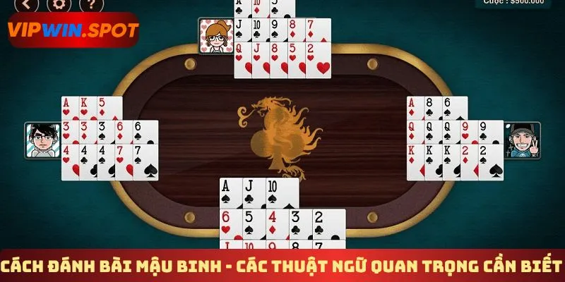 Cách đánh bài mậu binh - Các thuật ngữ quan trọng cần biết 