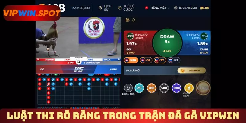 Luật thi rõ ràng trong trận đá gà Vipwin 