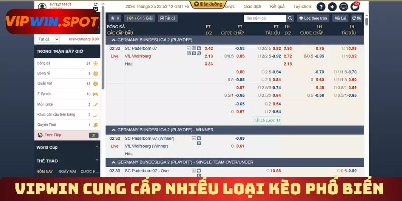 Vipwin cung cấp nhiều loại kèo phổ biến